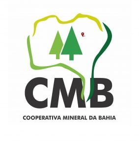 Leia mais sobre o artigo Assembleia Geral Extraordinaria