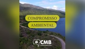Leia mais sobre o artigo 05 de junho: Dia Mundial do Meio Ambiente