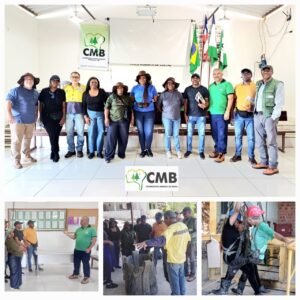 Leia mais sobre o artigo Profissionais do MIREMPET, de Angola, visitam Garimpo das Carnaíbas em intercâmbio técnico